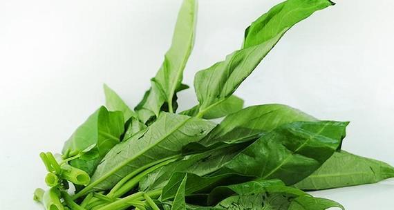 空心菜可以生吃吗？生吃空心菜的正确方法和注意事项是什么？