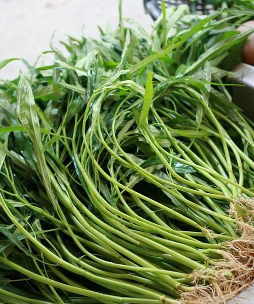 空心菜可以生吃吗？生吃空心菜的正确方法和注意事项是什么？
