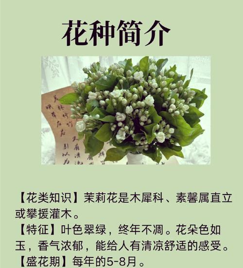 哪种花的花语象征罪恶的爱情？罪恶爱情的花语有哪些？
