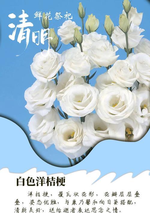 清明节送花的花语有何含义？