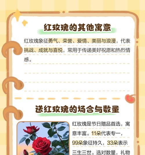 纯红玫瑰的寓意和花语有何特别之处？