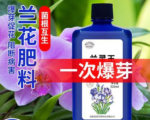 君子兰叶子清洁用什么好？