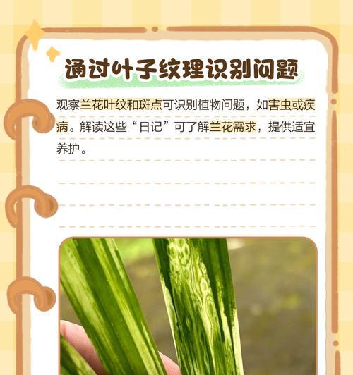 植物叶子发黄是什么原因？如何预防和处理？