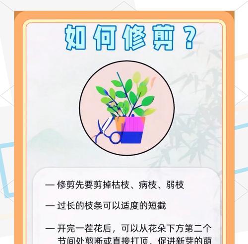 茉莉修剪的最佳时机是什么时候？修剪茉莉有哪些技巧？