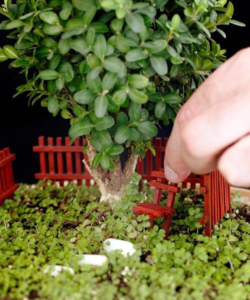 茉莉修剪的最佳时机是什么时候？修剪茉莉有哪些技巧？