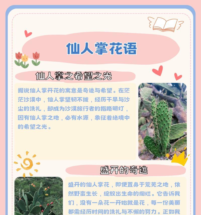 仙人头开花有什么用？仙人头开花的意义是什么？