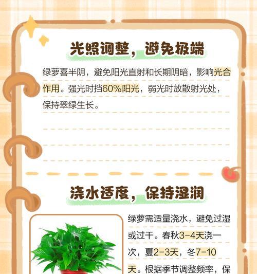 绿萝叶子发黄的原因是什么？