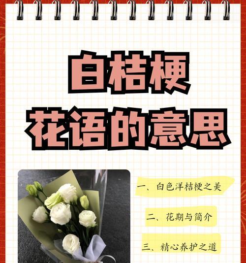 离花语代表什么含义？如何正确理解离花的花语？