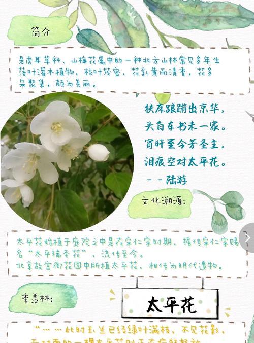 哪种花的花语是平安和希望？