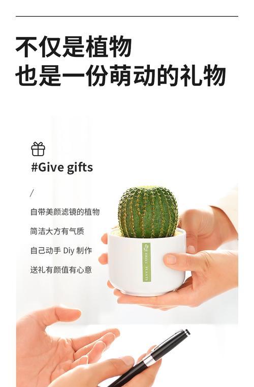 仙人球作为礼物的寓意是什么？送领导合适吗？