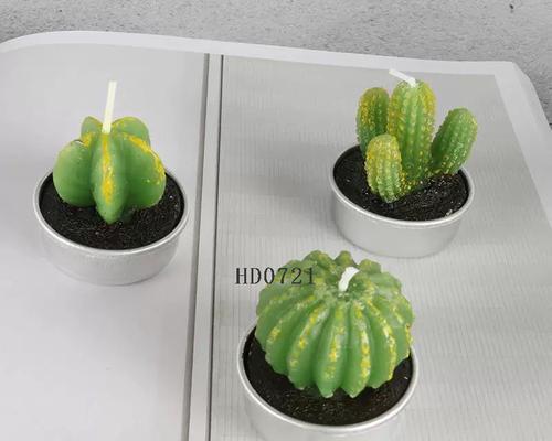 仙人球作为礼物的寓意是什么？送领导合适吗？