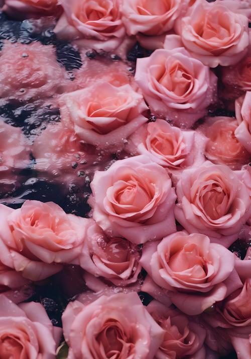 红玫瑰代表什么浪漫？花语中的爱情有多深？