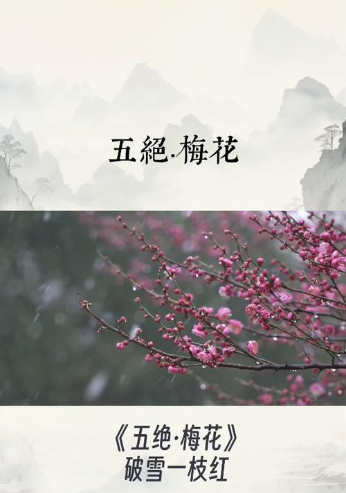 梅花的花语什么？梅花象征着哪些美好品质？