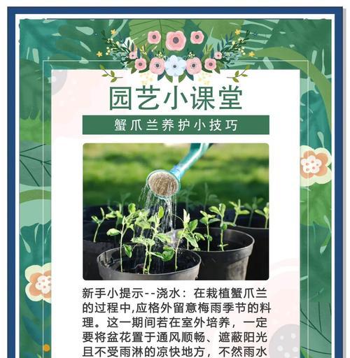 蟹爪兰三四月份的养护需要注意什么？