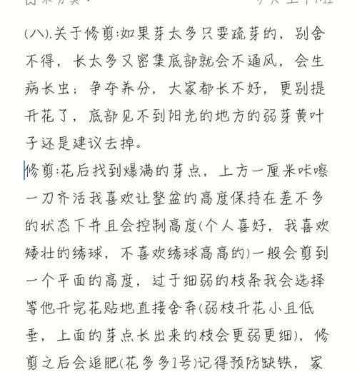 绣球花夏季养护与调色技巧分享有哪些？