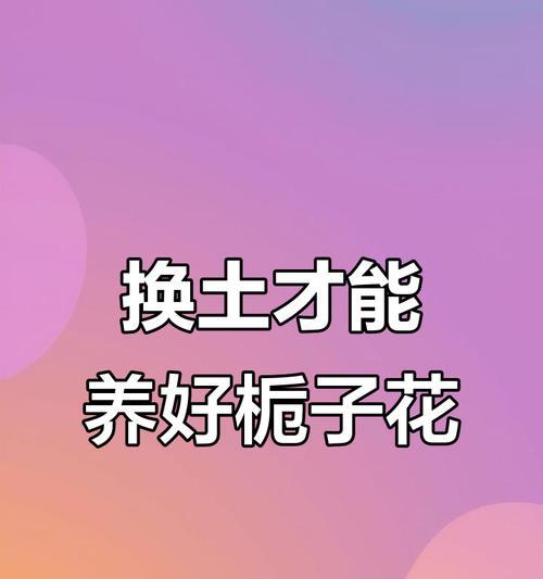 栀子花养护秘籍是什么？如何实现馥郁花开？