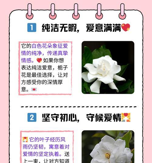 栀子花养护秘籍是什么？如何实现馥郁花开？