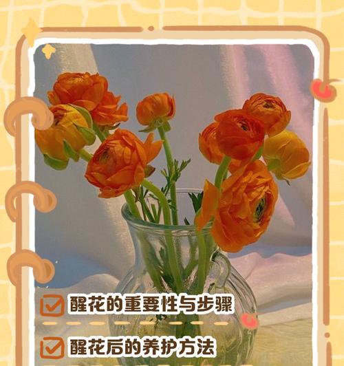 牡丹花养护全攻略是什么？有哪些关键步骤？