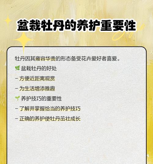 牡丹花养护全攻略是什么？有哪些关键步骤？