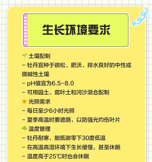 牡丹花养护全攻略是什么？有哪些关键步骤？