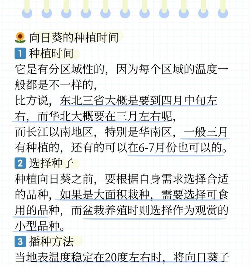太阳花种植方法有哪些？种植后多久能开花？