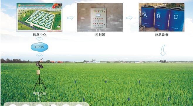 大田种植如何提升单产能力？10个实用技巧是什么？
