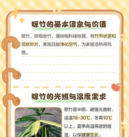 办公室绿植竹子如何养护？竹子在办公室的养护技巧是什么？