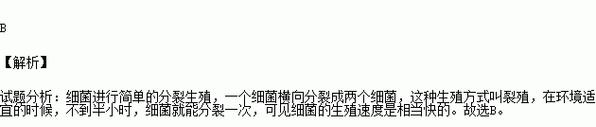 马铃薯块茎形成的繁殖方式解析？出芽生殖还是营养生殖？