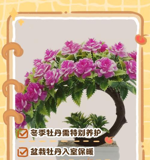 盆景牡丹花的养殖方法和注意事项是什么？