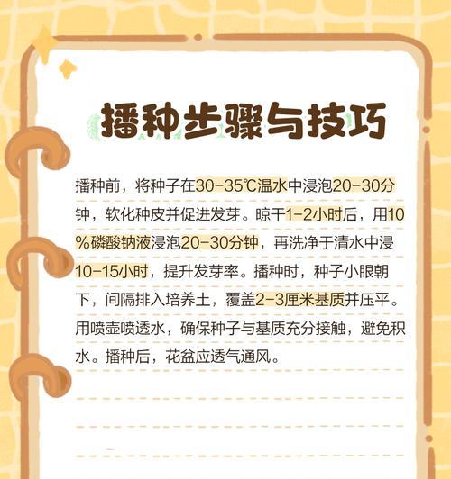 河砂种植君子兰的步骤和技巧是什么？