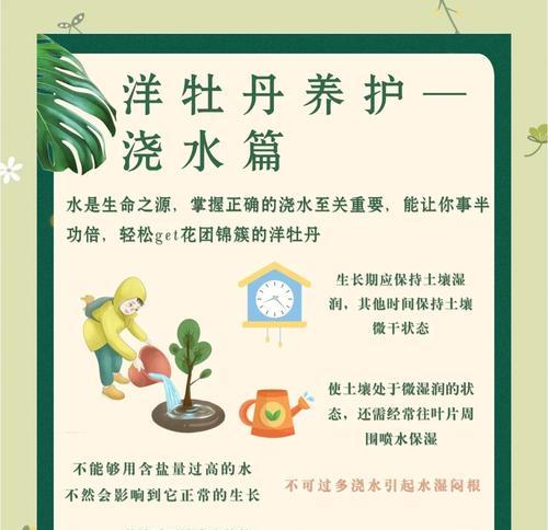 牡丹花怎样浇水才能开得更美？
