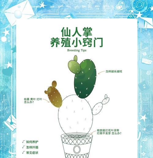 饥荒中如何正确种植仙人掌地皮？