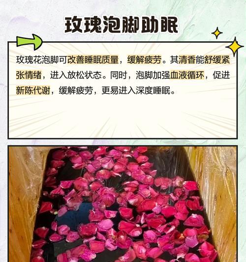 玫瑰花催芽的最佳方法是什么？