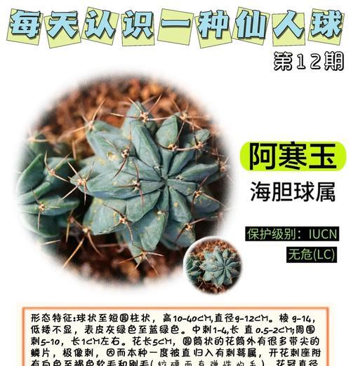 瑞昌玉锦仙人球的种植方法是什么？