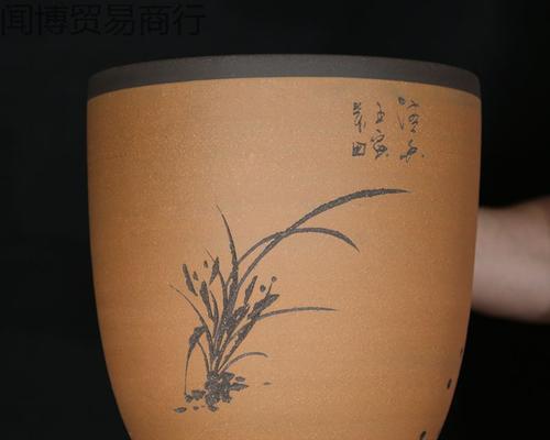 君子兰带瓷盆的优缺点及养护方法是什么？