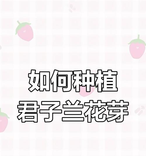 君子兰种子发芽后如何进行管理？