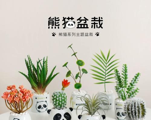熊猫子仙人掌的养护和管理方法是什么？