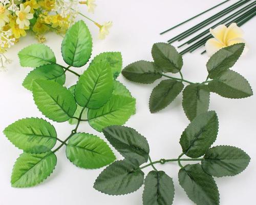 玫瑰花防烂叶的秘诀是什么？如何避免玫瑰花叶子腐烂？
