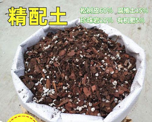 北京君子兰种植土选择？哪种土壤最适合君子兰？