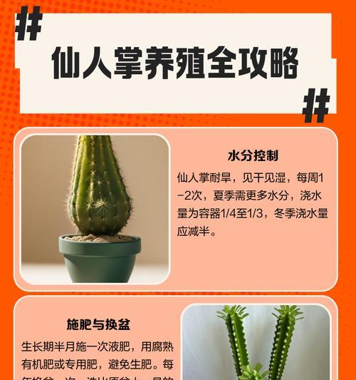 灵宠仙人掌的养殖方法是什么？如何正确养护灵宠仙人掌？