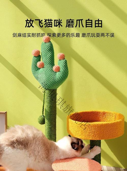 仙人掌单柱猫爬架的养护方法是什么？