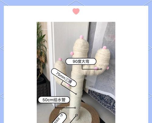 仙人掌单柱猫爬架的养护方法是什么？