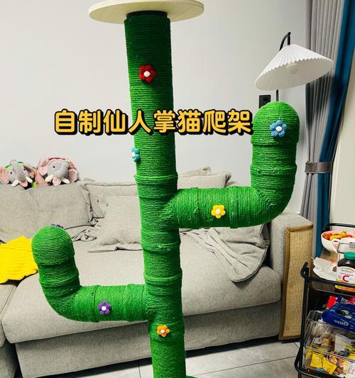 仙人掌单柱猫爬架的养护方法是什么？