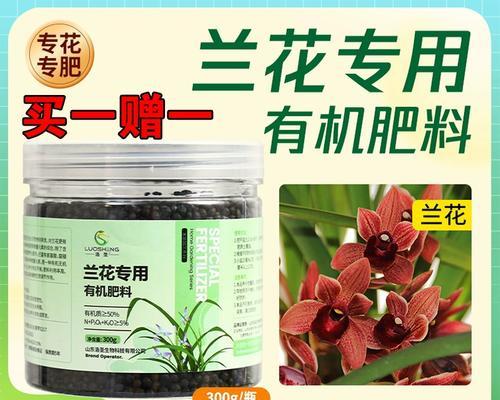 君子兰叶子焦尖的处理方法是什么？