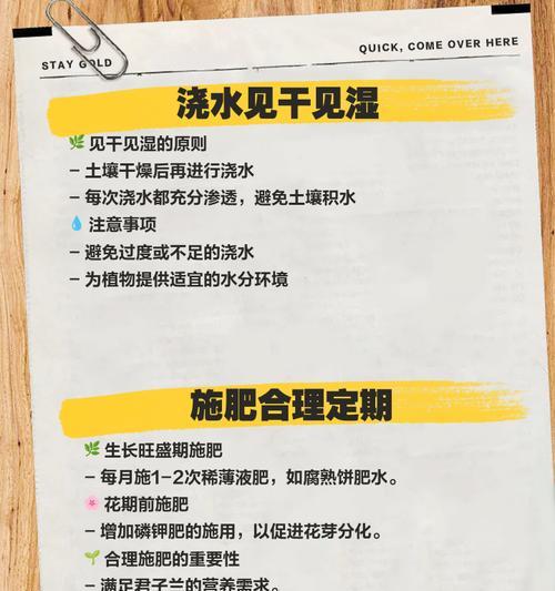 君子兰7片叶的养护管理方法是什么？