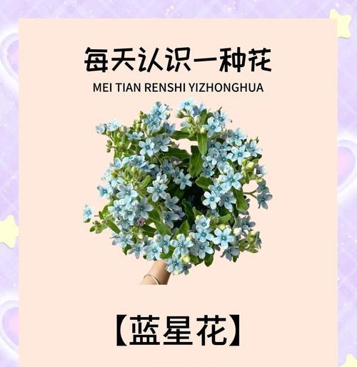三朵洋桔梗的花语有何含义？