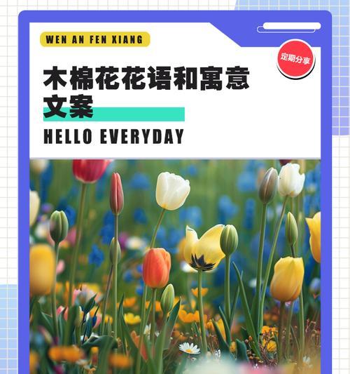 木棉花的花语和寓意是什么？