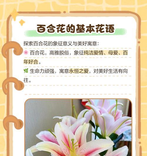 花的花语有哪些？花的故事和寓意是什么？