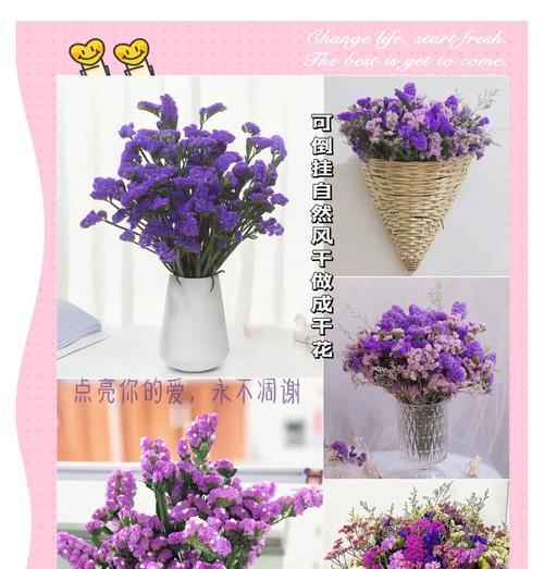 勿忘我花的颜色代表什么花语？勿忘我花的含义是什么？