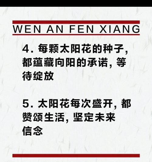 向日葵的花语为何如此吸引人？